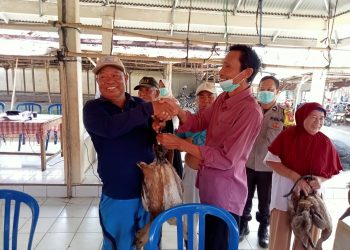 S0SIALISASI  DAN PEMBAGIAN BIBIT KETAHANAN PANGAN HEWANI DAN NABATI