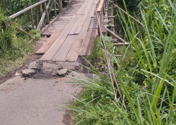 pelatihan website desa