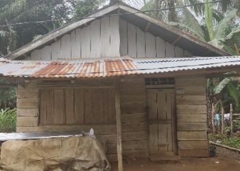 Belum Tersentuh Bantuan Pemerintah, Kakak Beradik di Seluma Makan Nasi dengan Mie